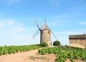 vue sur le moulin à vent