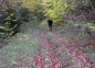 promenades sur 90 ha
