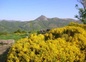 Puy Griou de l'Arpon du Diable-MOC09