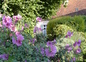 Le jardin