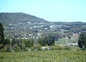 Vue sur les vignes et colline St Claude