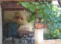 terrasse au sud