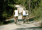 Balades à vélo