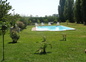 Vue de la piscine sur la terrasse